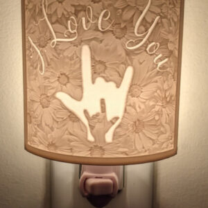 Picture of "I Love You" lithohane night light